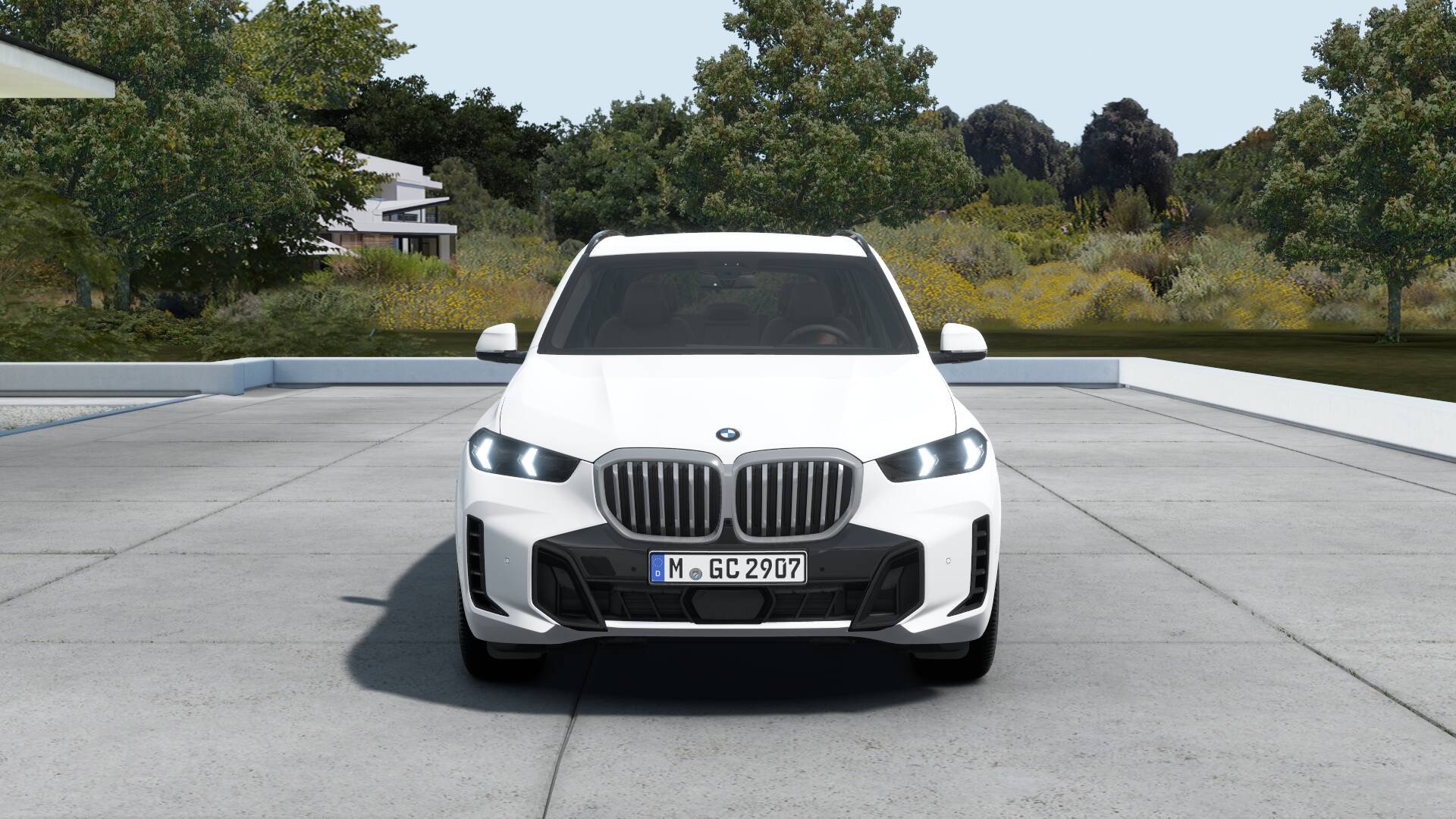 BMW X5 20 xDrive front